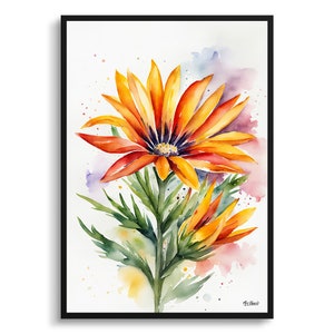Gazania Minimalist Watercolour Botanical Art Print - Treasure Flower Framed Plant Wall Art Flower Art
