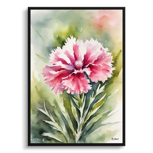 Dianthus Devon Wizard Watercolour Botanical Art Print - Pink Framed Plant Wall Art Flower