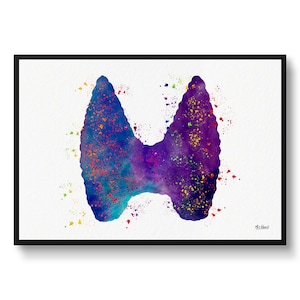 Thyroid Gland Anatomy Watercolour Endocrinology Medical Functional Doctor Office Clinic Wall Art Endocrinologist Nutritionist gift