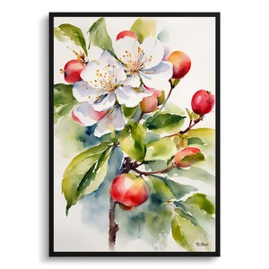 Malus Domestica Watercolour Botanical Art Print - Howgate Wonder Apple Floral Framed Plant Wall Art Poster Flower Painting