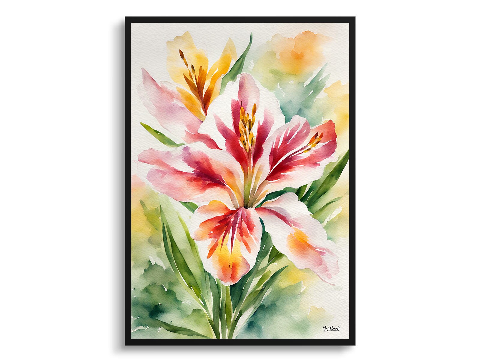 Etsy - Alstroemeria