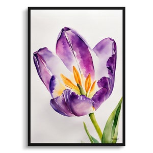 Purple tulip Minimalist Watercolour Botanical Art Print - Lady Floral Framed Plant Wall Art Poster Flower Painting