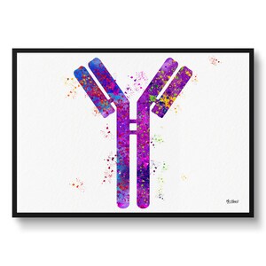 Antibodies Watercolour Print IGG Immunoglobin Medical Doctor Office Clinic Wall Art-  Framed & Unframed Art Print