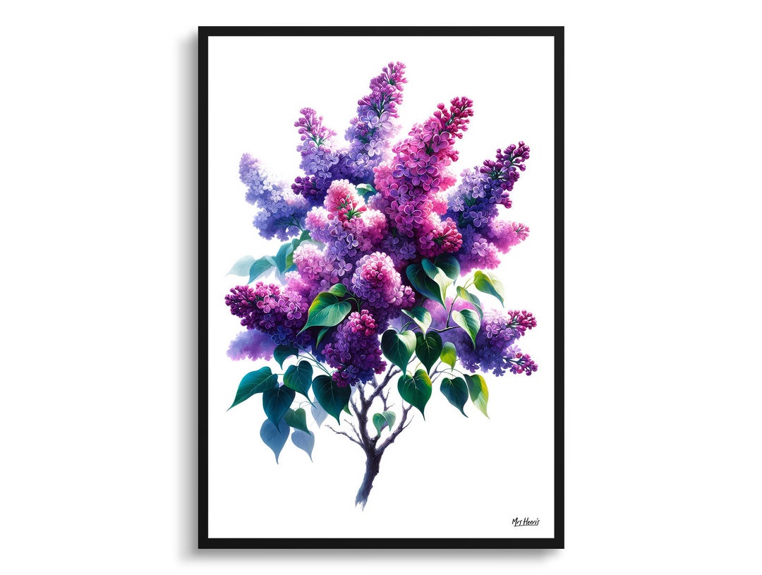 Botanical Art Lilac (syringa Vulgaris) Framed Plant Watercolor Painting ...