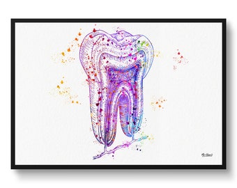 Tooth Structure Watercolour Print Tooth Cross Section Anatomy Dental Office Clinic Wall Art - Dental Clinic Waiting Room Dentistry Gift Art
