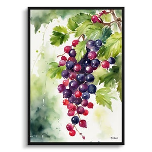 Ribes Nigrum Cassissima Noiroma Aquarell Botanische Kunst Druck - Schwarze Johannisbeere Gerahmt Pflanze Wand Kunst Blumen Malerei - Floral Wohn Dekor