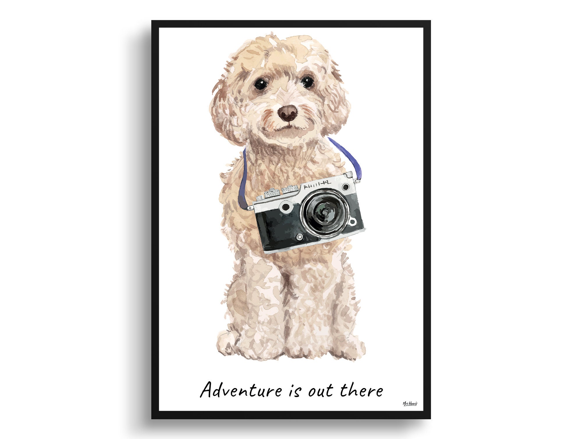 fish storage tanks for sale