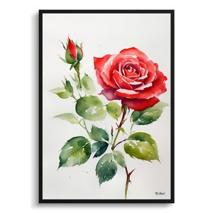 Rosa roja minimalista acuarela arte botánico impresión - jardín floral enmarcado planta pared arte cartel pintura de flores