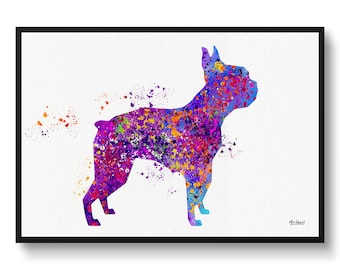 Boston Terrier Watercolour Dog Print - Veterinary Decor Gift Dog Illustration Framed & Unframed Wall Art Print For Dog Lovers and Vets