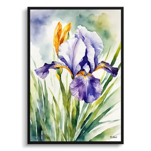 Iris Watercolour Botanical Art Print - Fleur-de-lis Framed Floral Plant Wall Art Flower Art