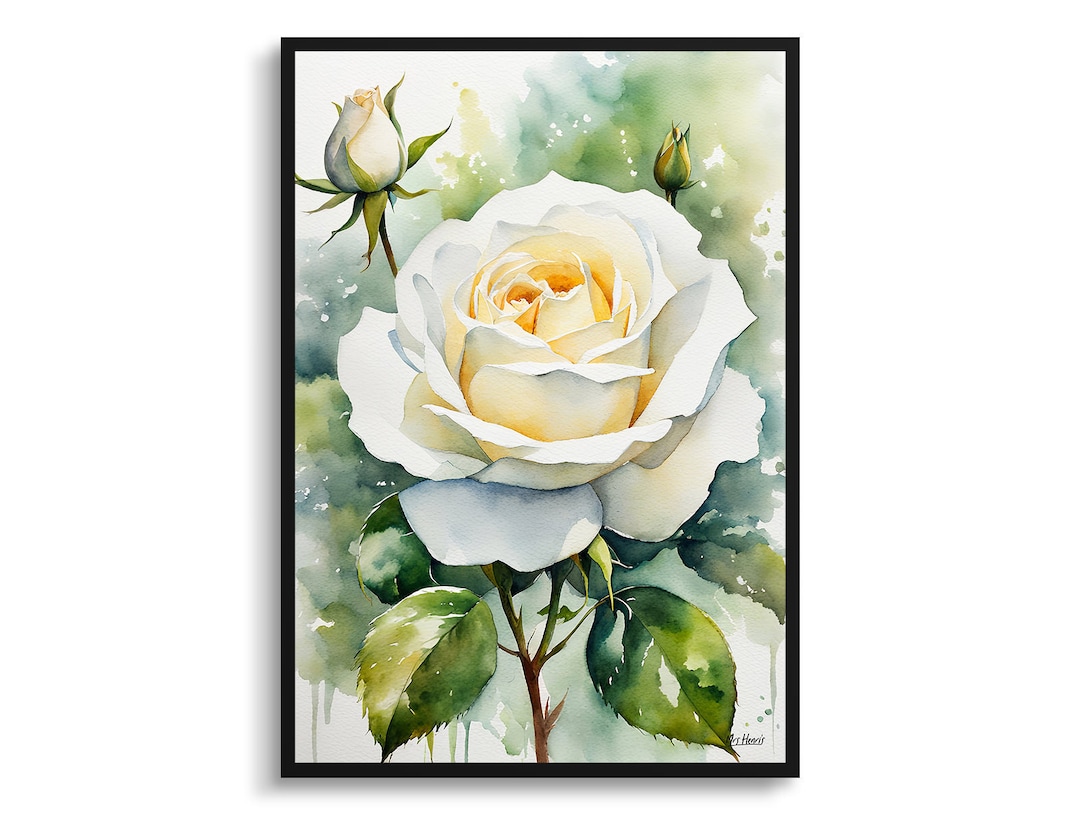 White Rose Watercolour Botanical Art Print - Alba Floral Framed Plant ...