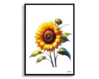 Botanical Art Sunflower (Helianthus annuus) Framed Plant Watercolor Painting Wall Art Print - Flower Boho Decor - Perfect housewarming gift