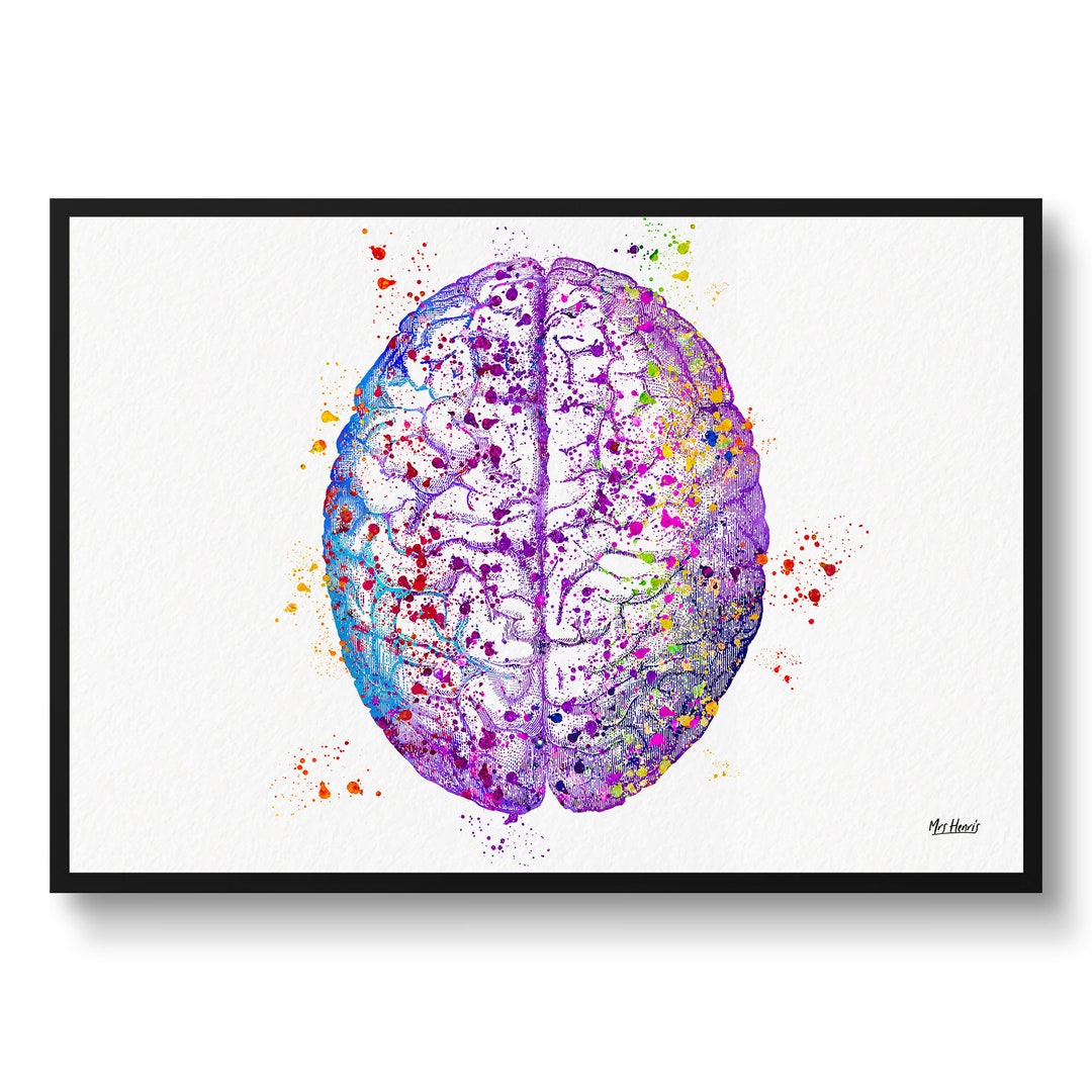 Brain (top View) Watercolour Print Human Neurology Medical Nurse Doctor ...