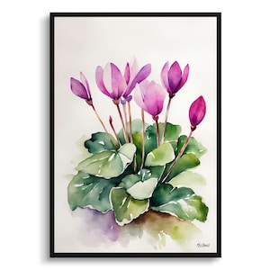 May include: Watercolor painting of a cyclamen plant in a black frame. The artwork features vibrant pink flowers with green leaves. The painting style is soft and detailed, capturing the delicate beauty of the plant. The artwork is signed in the bottom right corner.