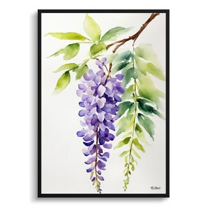 Wisteria x Valderi Minimalist Watercolour Botanical Art Print - Burford Floral Framed Plant Wall Art Flower Painting