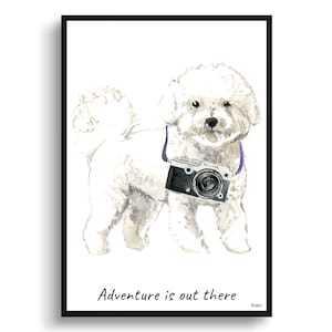 Adventure is out there Bichon Frise Dog print illustration. Framed & un-framed wall art options. Personalised name.
