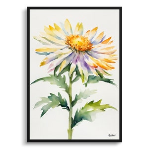 Aster Minimalist Watercolour Botanical Art Print - Michaelmas Daisy Framed Plant Wall Art Poster