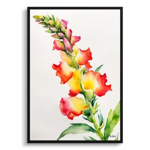 Snapdragon Minimalist Watercolour Botanical Art Print - Dragon flower Floral Framed Plant Wall Art Poster Flower Painting