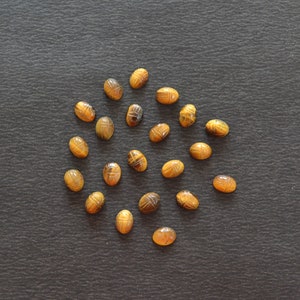 Puede incluir: Una colecci&oacute;n de diecinueve piedras preciosas de ojo de tigre de forma ovalada, cada una tallada con un dise&ntilde;o detallado de escarabajo. Las piedras exhiben un brillo natural chatoyante de color marr&oacute;n dorado con bandas de color marr&oacute;n oscuro.