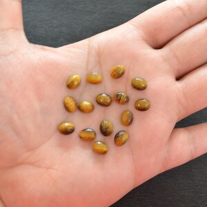Puede incluir: Una colecci&oacute;n de trece peque&ntilde;as piedras preciosas de ojo de tigre de forma ovalada. Cada piedra presenta una superficie lisa y pulida con bandas chatoyantes caracter&iacute;sticas de color marr&oacute;n dorado y oscuro que crean un efecto brillante.