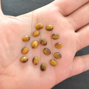 Puede incluir: Una colecci&oacute;n de trece peque&ntilde;as piedras preciosas de ojo de tigre de forma ovalada, cada una con un dise&ntilde;o de escarabajo tallado en la superficie. Estas piedras pulidas de color marr&oacute;n y amarillo dorado muestran un brillo natural.
