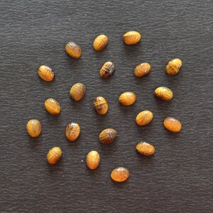 Puede incluir: Una colecci&oacute;n de diecinueve piedras preciosas de ojo de tigre de forma ovalada, cada una tallada con un dise&ntilde;o detallado de escarabajo. Estas piedras pulidas de color marr&oacute;n y amarillo dorado presentan bandas naturales.