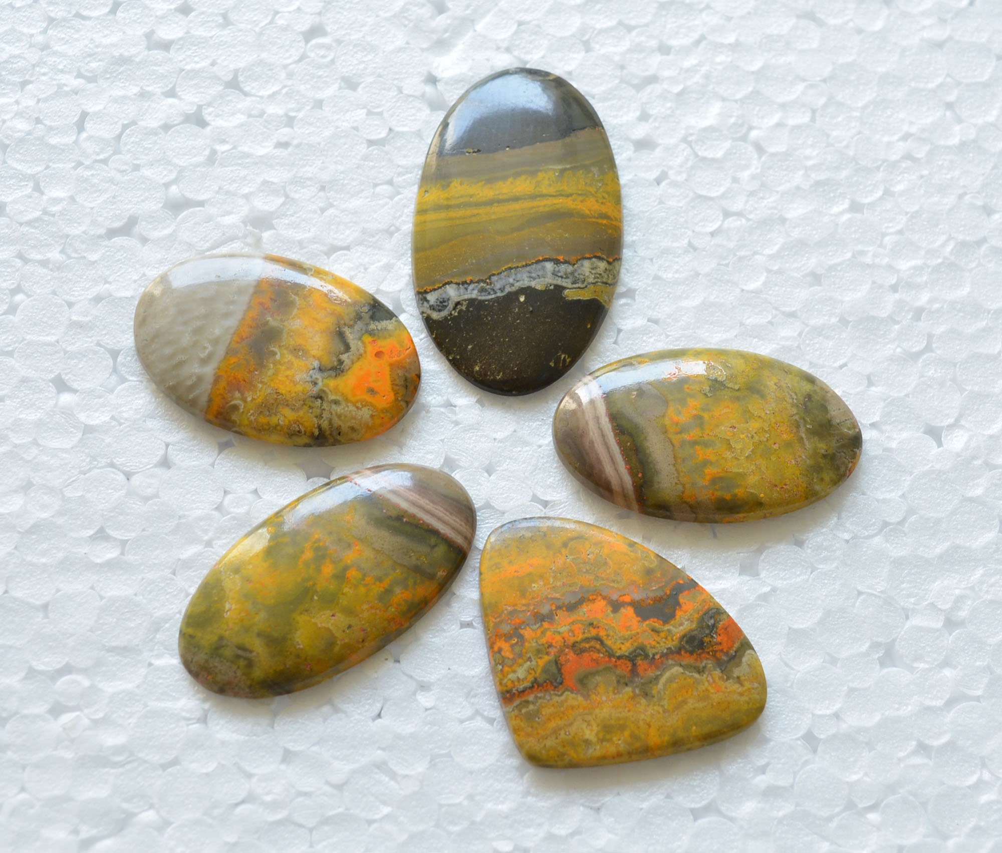 bee jasper bee jasper