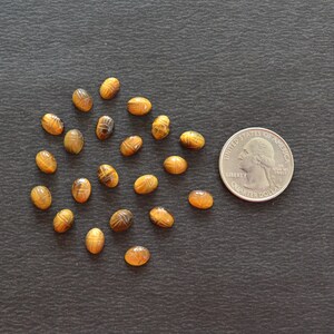 Puede incluir: Una colecci&oacute;n de diecinueve peque&ntilde;as piedras preciosas de ojo de tigre de forma ovalada talladas con un dise&ntilde;o de escarabajo, dispuestas junto a una moneda de veinticinco centavos de EE. UU. para mostrar la escala y el tama&ntilde;o.