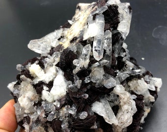 Specularite /Natural Specularite crystal Mineral Specimen #Q621