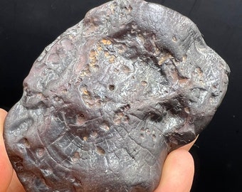 RARE Stony meteorite Natural Meteorite iron BOXHOLE, Australia, complete specimen  #Q994