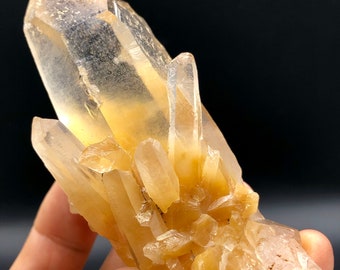 Excellent Rare Natural Natural yellow Rabbit hair Crystal Mineral Specimen #Q205