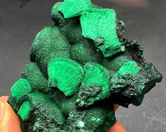 malachite,High quality Natural feather green malachite Mineral Specimen #Q902