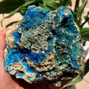 Natural sparkling Blue hemimorphite Crystal Mineral Specimen  #Q630