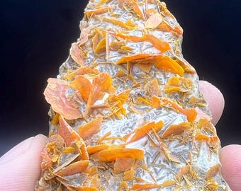 Op de afbeelding: Een close-up van een mineraalmonster met een witte en grijze matrix, versierd met feloranje kristalformaties. De kristallen, met een gelaagde, bloembladachtige structuur, creëren een textuurrijke en visueel aantrekkelijke weergave. De achtergrond is donker.