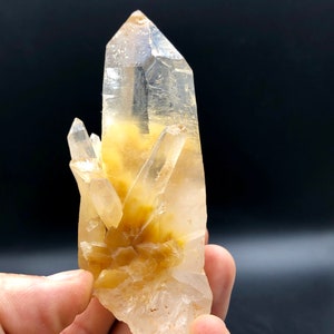 Esemplare minerale di cristallo di pelo di coniglio giallo raro, naturale, eccellente, n. Q1611