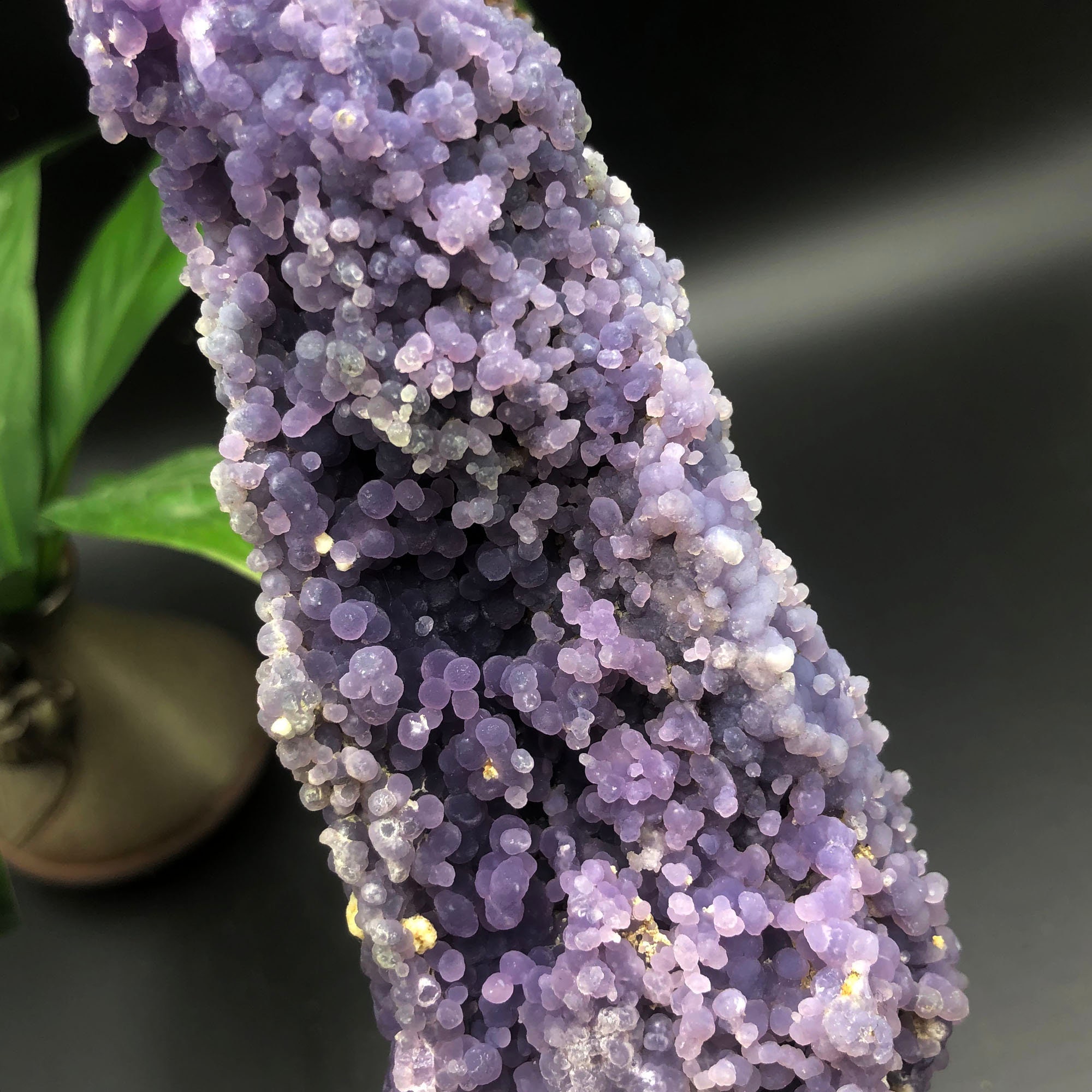 Weddings Accessories Hair Accessories Hair Pins Grape Agate--Beautiful purple Botryoidal Chalcedony Grape Agate Specimen-Indonesia #Q593 