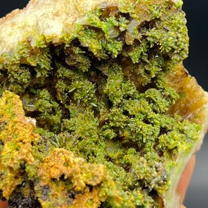 May include: Close-up of a mineral specimen featuring vibrant green, moss-like formations within a cavity. The outer edges display a mix of yellow and brown hues, with a creamy white base. The texture is rough and crystalline, showcasing natural geological beauty.