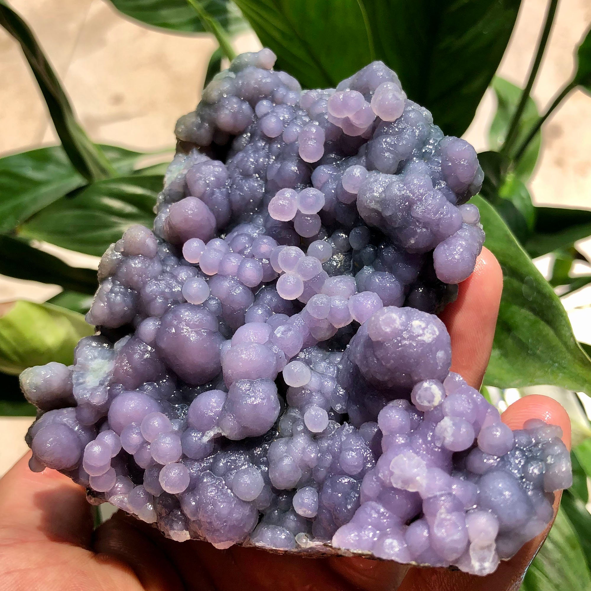Grape Agate--Beautiful purple Botryoidal Chalcedony Grape Agate Specimen-Indonesia  #Q628