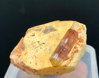 Excellent Rare " Watermelon tourmaline " Natural Verdelite Crystal Mineral Specimen #Q539