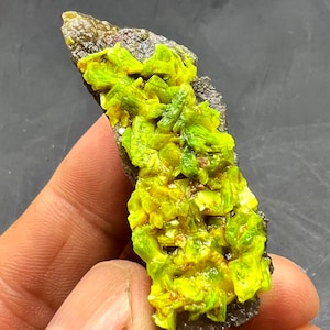 Puede incluir: Un cúmulo de cristales amarillo-verdosos brillantes sobre una matriz gris oscura. Los cristales son translúcidos y tienen un brillo vítreo.