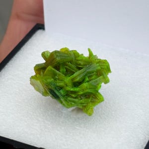 Puede incluir: Un espécimen mineral de color verde brillante, posiblemente un grupo de cristales, exhibido en una caja negra con interior blanco. El mineral tiene una apariencia en capas y texturizada con diferentes tonos de verde.