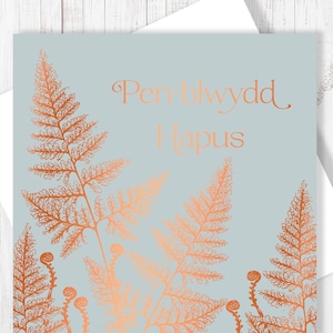 Stylo blwydd Hapus | Carte de joyeux anniversaire Gallois fougères, gris avec feuille de cuivre, vierge à l'intérieur