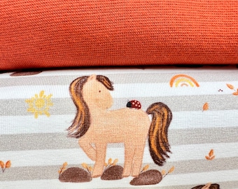 Stoffpaket  "Blacky"  / Jerseystoff  für Kinder mit Pferd / Pony und Marienkäfer, auf Wunsch mit Bündchen in terracotta