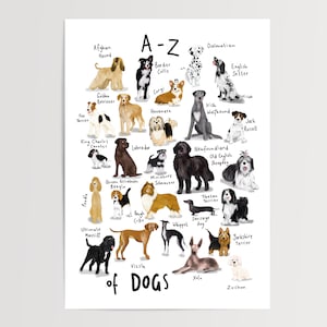 A-Z of Dogs | Dog Breed Alphabet | Dog Breeds | Dog Lover | Puppy | Wall Art | Alphabet Print | Educational | Identification Chart | Poster