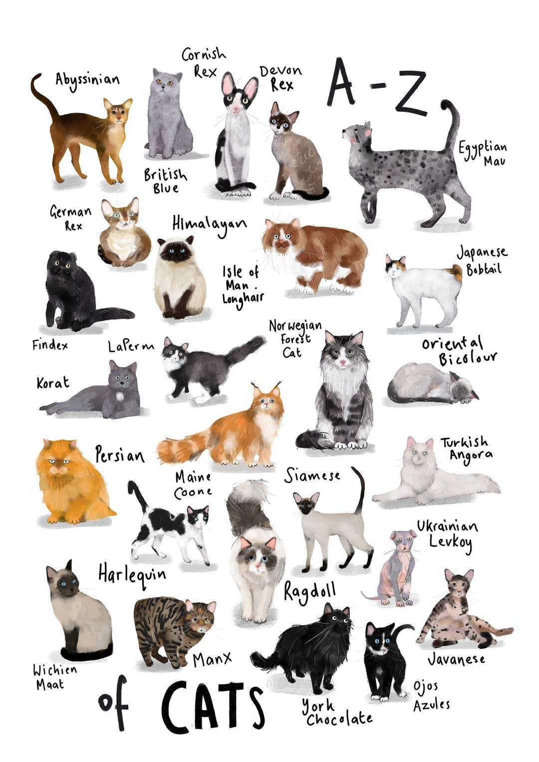 AZ of Cats Cat Breed Alphabet Cat Breeds Cat Lover Etsy