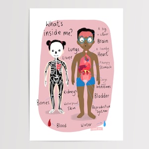 Wetenschap | Kwekerij | Wat zit er in mij | Biologie-afdruk | Muurkunst | Kinderkunst | Kinderkamer | Educatief | Identificatiekaart | Poster: