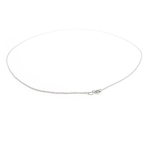 May include: A silver chain necklace with a lobster clasp closure.