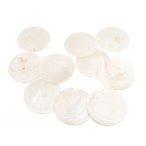 Può includere: Dieci conchiglie bianche, rotonde, lisce e leggermente iridescenti. Le conchiglie sono disposte in un cerchio sciolto su uno sfondo bianco.