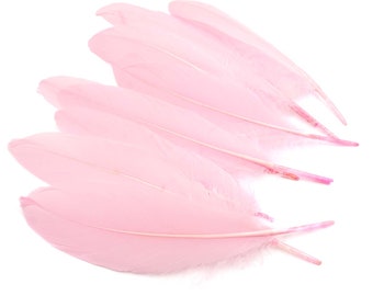 0.24 EUR/piece long feathers in pink 10 pieces