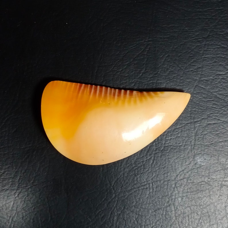 AAA Grade Quality Orange Kemoshele Cabochon Loose Gemstone Cabochon Gemstone 93.50 Carat 54x29x10mm